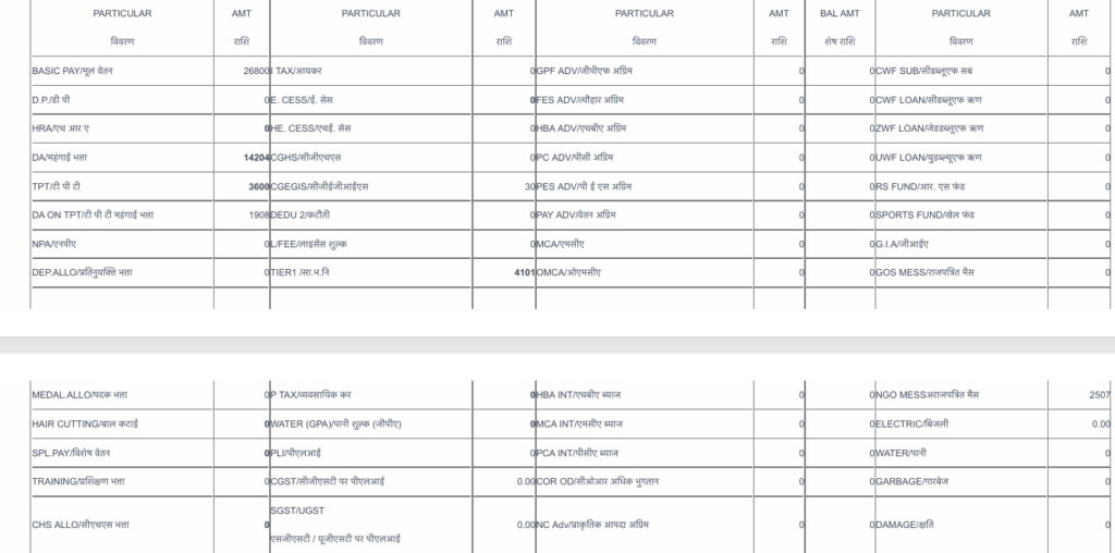 
ssc gd salary slip 2025